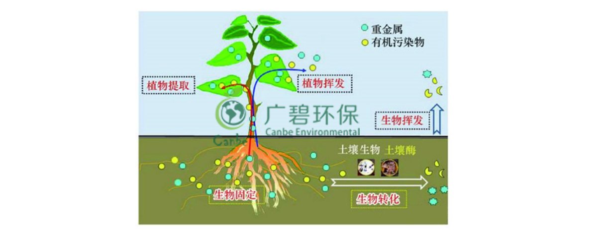 土壤汙染防治基礎知識(圖3)