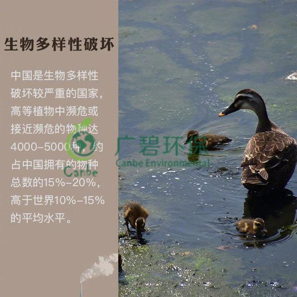 世（shì）界地球日 榴莲视频污污版能為地球做（zuò）些（xiē）什麽？(圖6)