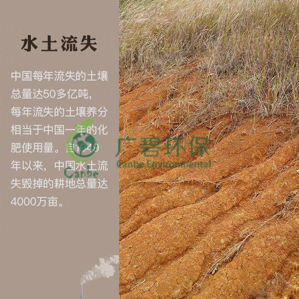 世界地球日 榴莲视频污污版能為地球做些什麽？(圖7)