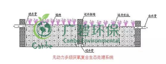 養豬場汙水處理方法 養豬場廢水處理設備的應用(圖5)