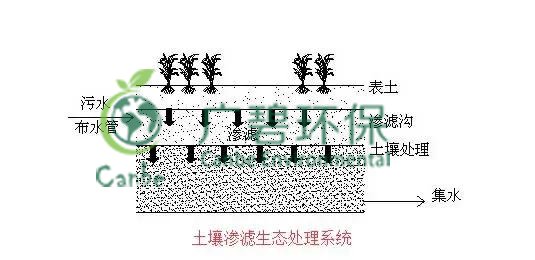 養豬（zhū）場汙水處理方法 養豬場廢水處理設備的應用(圖6)