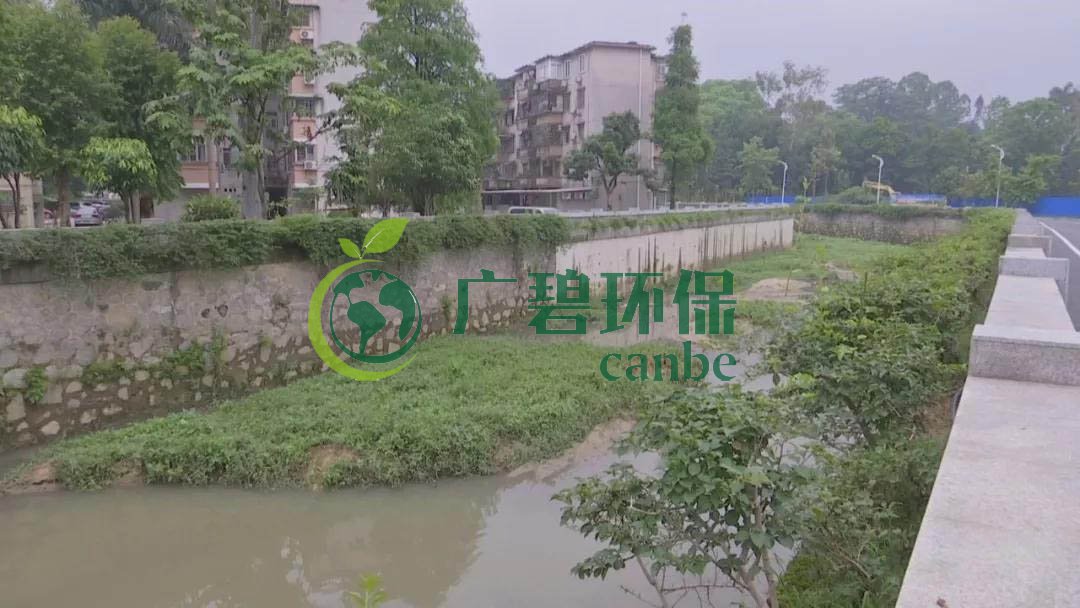 廣州市（shì）治理河道（dào）黑臭（chòu）水體治理（lǐ）經驗（yàn）分享(圖6)