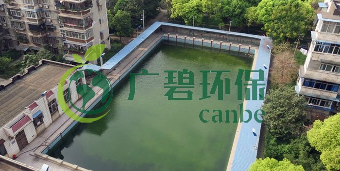 遊泳池水變綠（lǜ）是什麽（me）原因？遊泳池水處理方法（fǎ）(圖（tú）1)