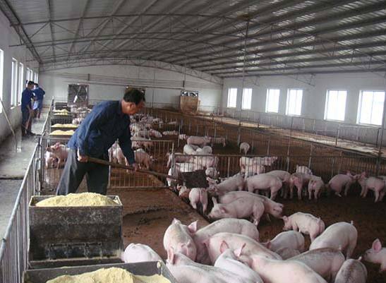 什麽是養殖廢水（shuǐ）？養殖（zhí）廢水處理工藝