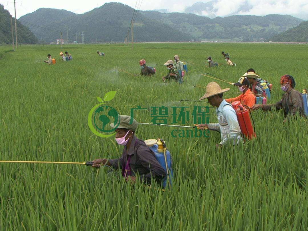 農（nóng）藥廢水是什麽？農藥（yào）廢水特點與處理（lǐ）工藝(圖1)