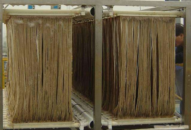 MBR汙泥膨脹怎麽處理？汙泥膨脹的處理方法