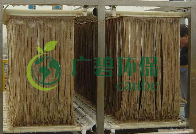 MBR汙泥膨（péng）脹怎麽處理？汙泥膨脹的處理方法(圖1)