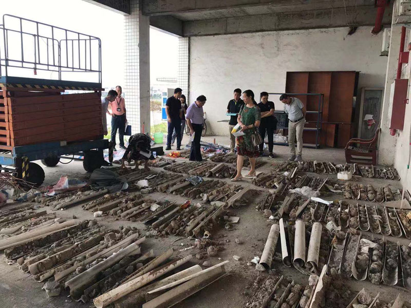 廣碧環保承接順德容桂寶供物流城場地（dì）調查項目順（shùn）利（lì）通過專家評（píng）審(圖4)