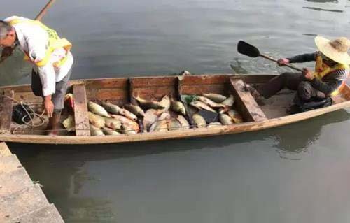 廣州旺旺食品廢水直排（pái），永和河大量魚類死亡（wáng）