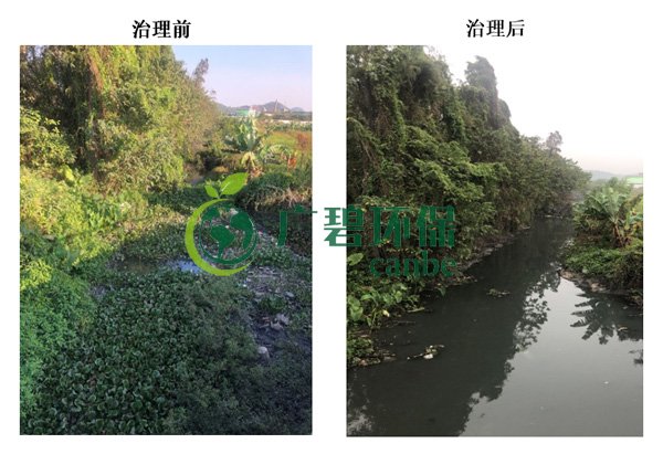 廣碧環保金陡湧河湧黑臭水體 治理服務項（xiàng）目順利通過驗收(圖（tú）7)