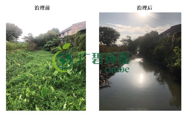 廣碧環保金陡（dǒu）湧河湧黑臭水體 治理服務項目順利通過驗收(圖8)