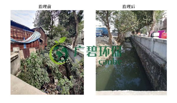 廣碧環保金陡（dǒu）湧河湧黑臭水體 治理服務項目順利通過驗收(圖1)