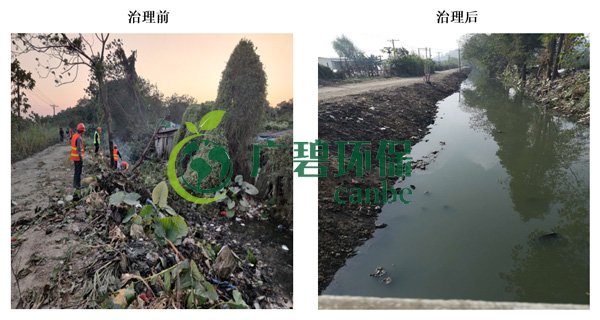 廣碧環保金（jīn）陡湧（yǒng）河湧黑臭水體 治理服務項目順利通過驗收(圖2)