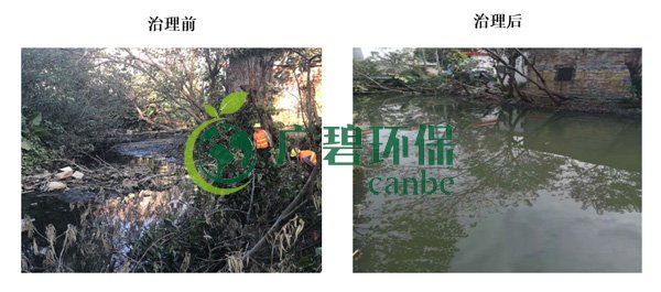 廣碧環保金陡湧河湧黑臭水體 治理服務項目順利通過驗收(圖3)