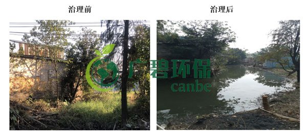 廣碧環保金（jīn）陡湧河湧黑（hēi）臭水體 治理服務項目順利通過驗收(圖5)