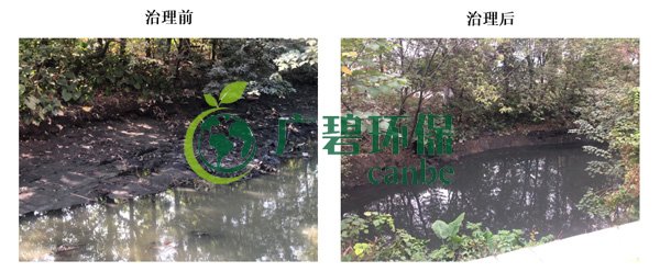 廣碧（bì）環保金陡湧河湧黑臭水體 治理服務項目順利通過驗（yàn）收(圖6)