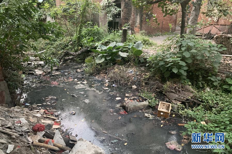 城市河道生態治理與景（jǐng）觀提升策略 —“複式藍線管理”