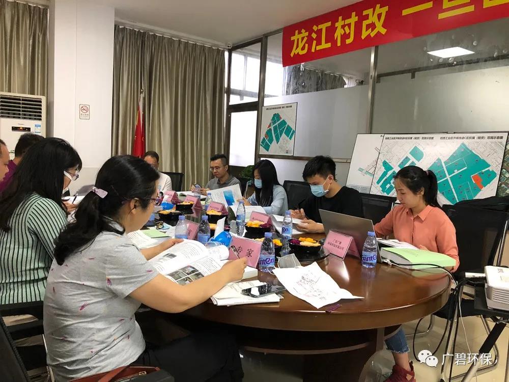 廣碧環保《龍（lóng）江鎮坦西工業區地（dì）塊土壤汙染狀況調查報告》通過評審(圖5)