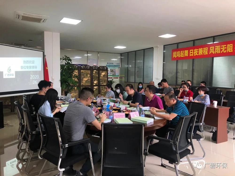 廣碧環保《龍江鎮坦西工業區地塊土壤汙染狀況調查報（bào）告》通過評（píng）審(圖6)
