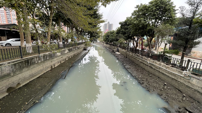順（shùn）德大良石洛湧、八坊湧整治見成效(圖3)
