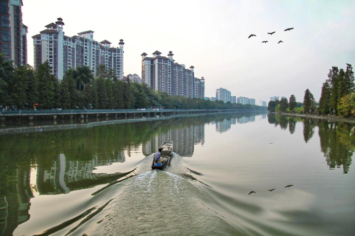 順德大良（liáng）石洛湧、八坊湧整（zhěng）治見成效